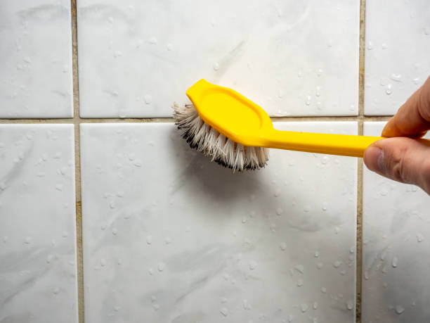 Best Emergency Mold Removal  in Rolling Hills Estates, CA
