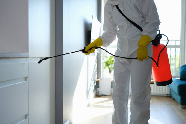 Crawl Space Mold Removal in Rolling Hills Estates, CA