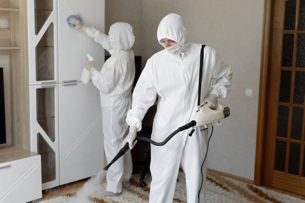 Best Certified Mold Removal  in Rolling Hills Estates, CA