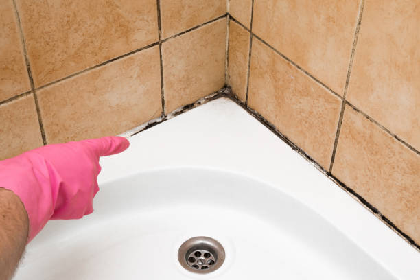 Best Fast Mold Removal  in Rolling Hills Estates, CA
